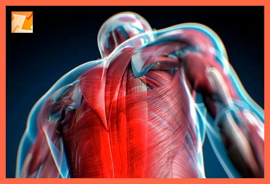 Ondoezaren ezaugarriak